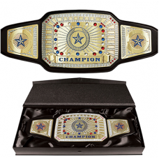 Championship Belt - Gold "Champion" Belt